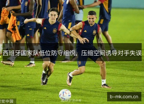 西班牙国家队低位防守组织,压缩空间诱导对手失误 西班牙国家队低位防守组织,压缩空间诱导对手失误